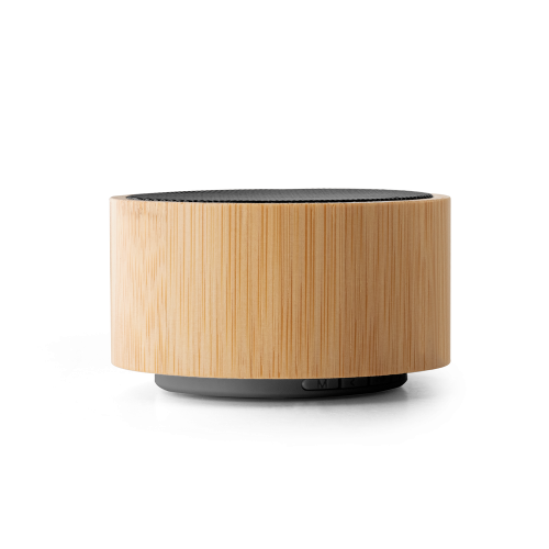 Apdrukas vieta Speaker