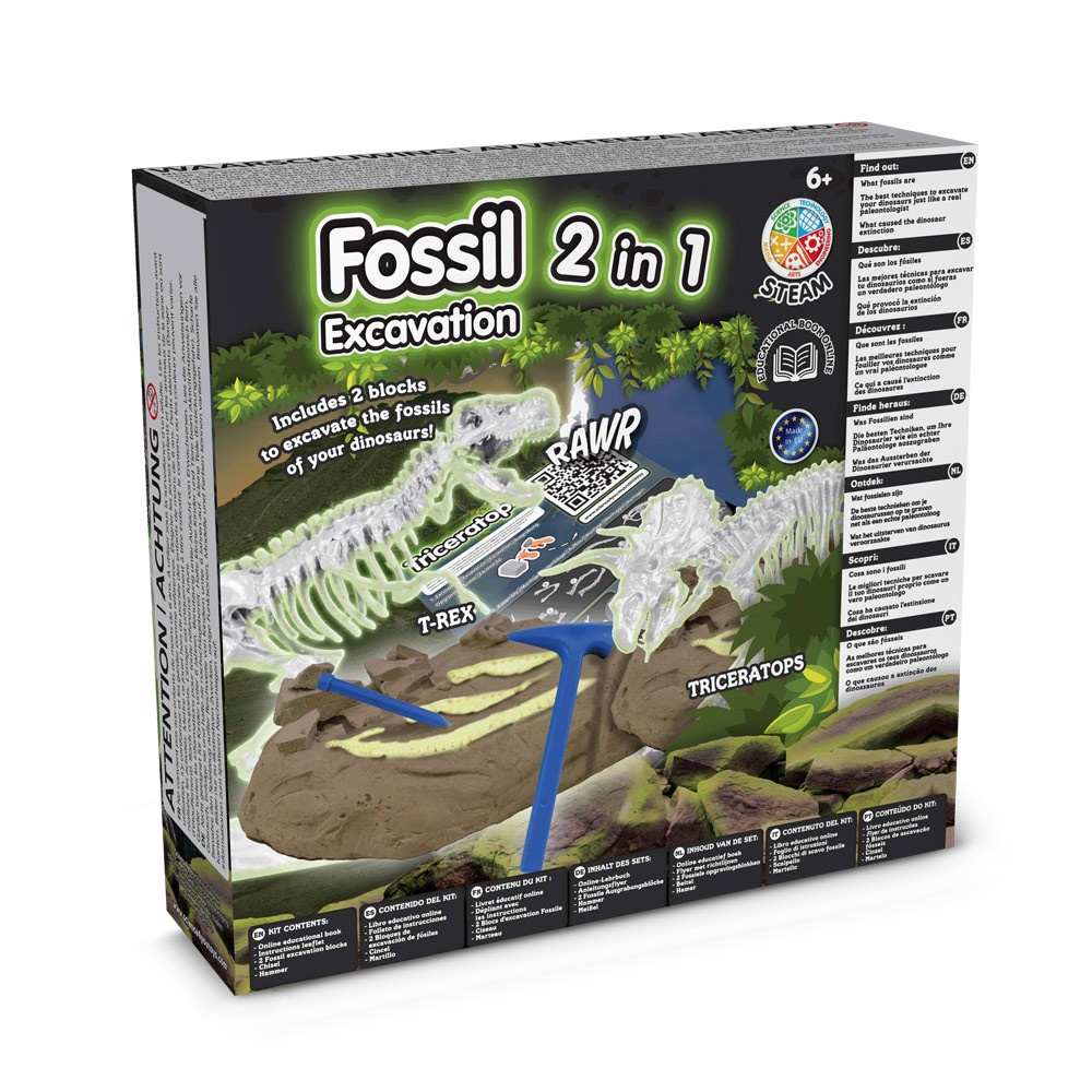 2 in 1 Fossil Excavation Kit I. Jeu éducatif pour enfants