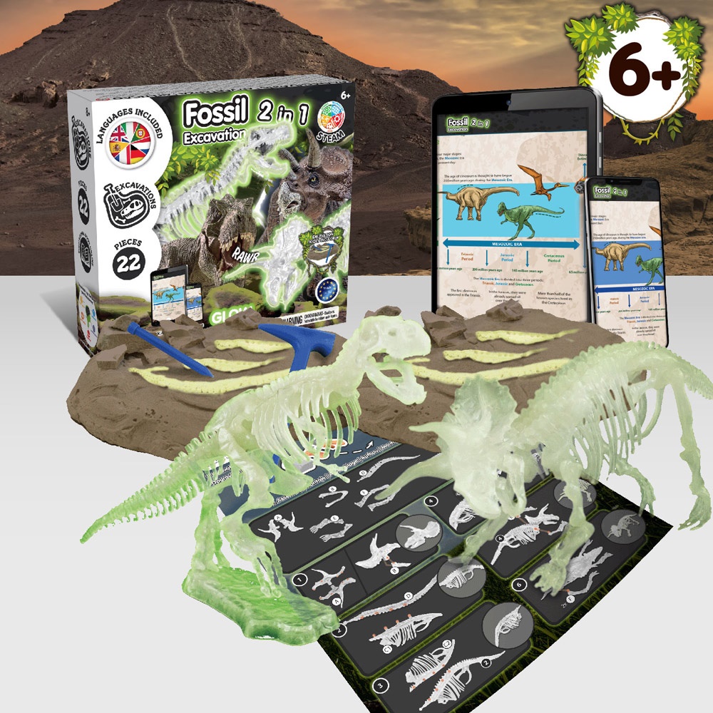 2 in 1 Fossil Excavation Kit I. Jeu éducatif pour enfants