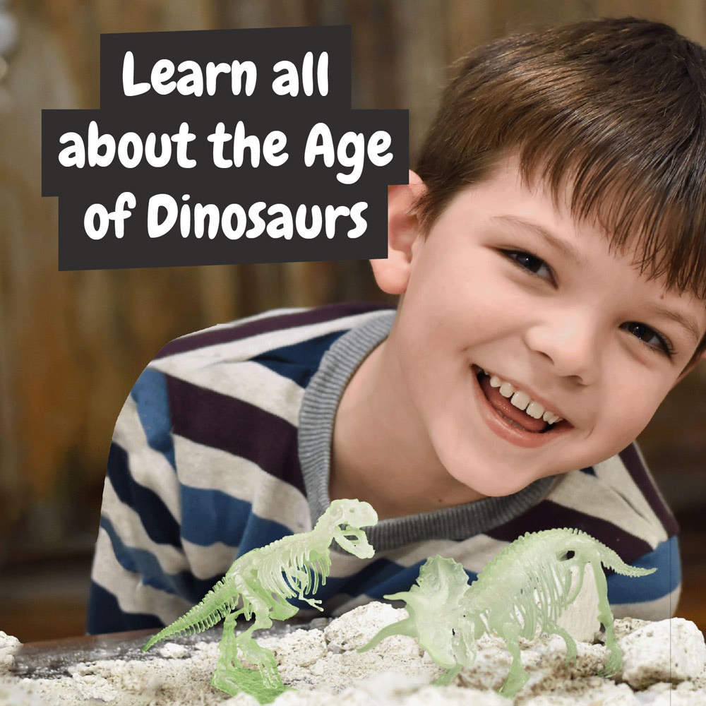 2 in 1 Fossil Excavation Kit I. Jeu éducatif pour enfants