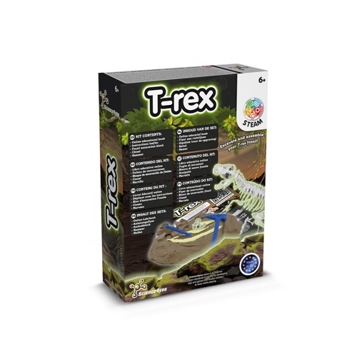 Fossil Excavation Kit I. Jogo didático para crianças