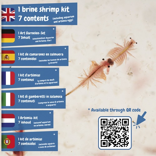 Jurassic Pets Kit I. Jogo didático para crianças