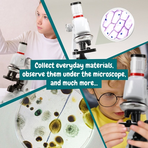 MICROSCOPE. Jogo didático para as crianças