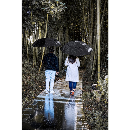 GAVIN. Guarda-chuva de 27'5'' em poliéster reciclado (100% rPET) com abertura automática