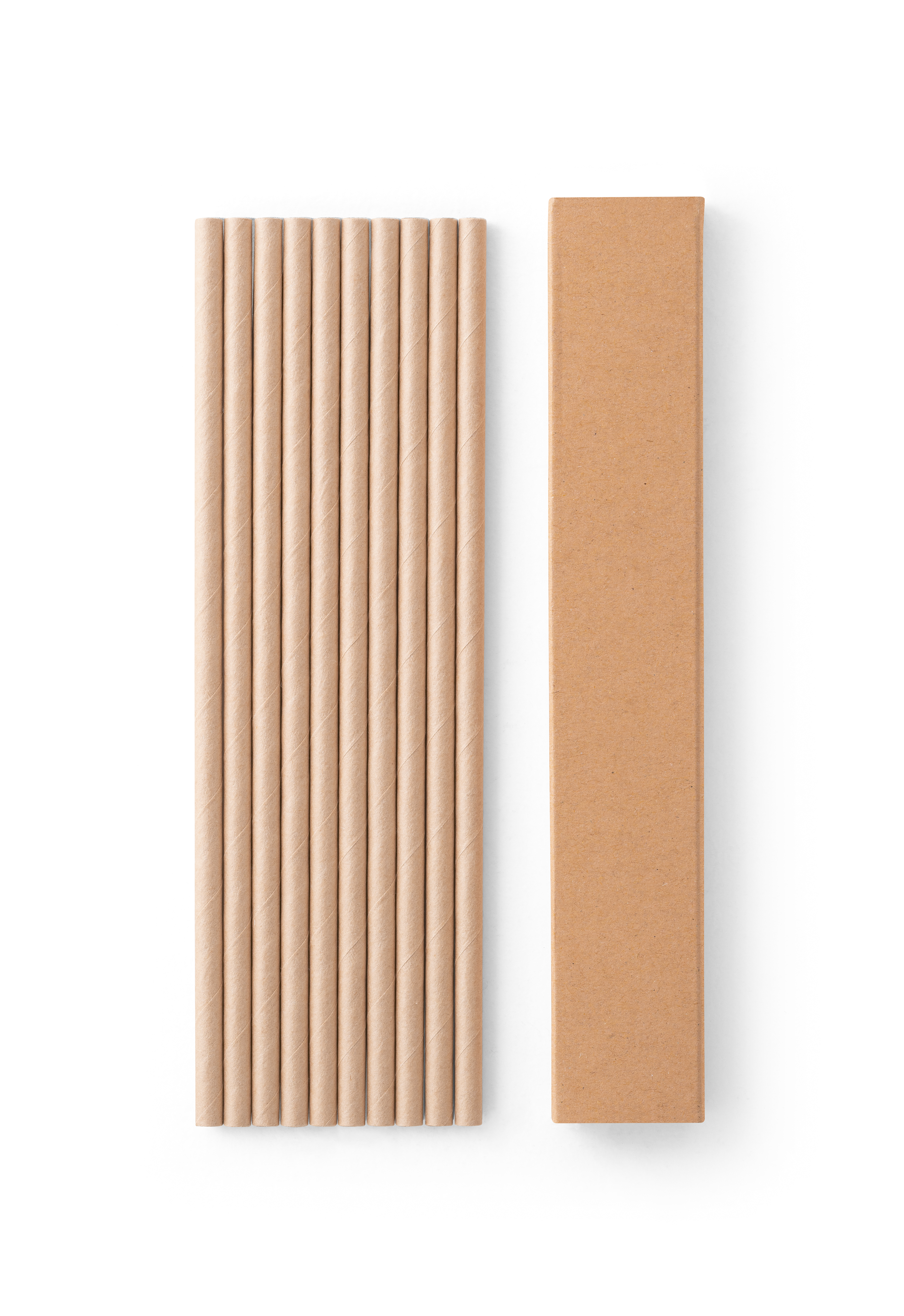 LAMONE. Conjunto de 10 palhinhas em papel kraft